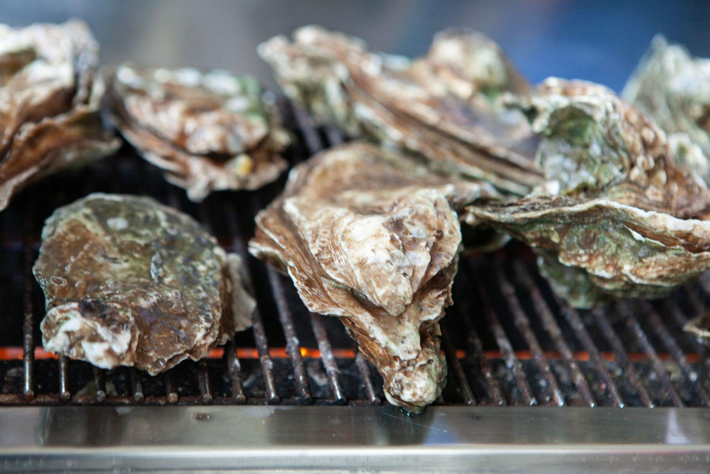 How to Grill Oysters: A Step-by-Step Guide & CAPO Fireside