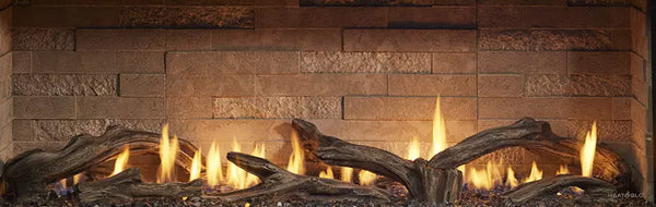 Primo II Linear Gas Fireplace | CAPO Fireside