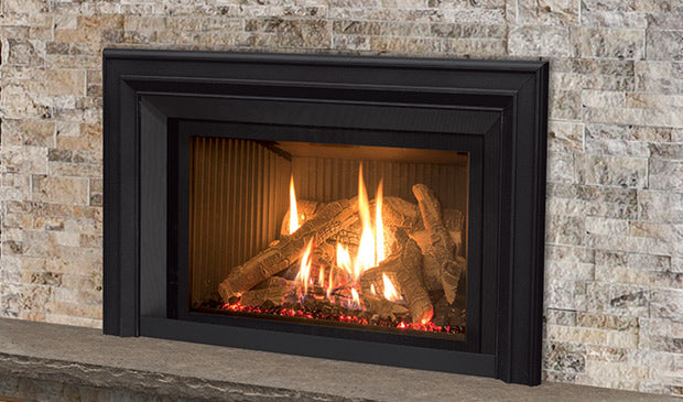 Enviro Gas Insert- EX32- SIEX32I2 | CAPO Fireside
